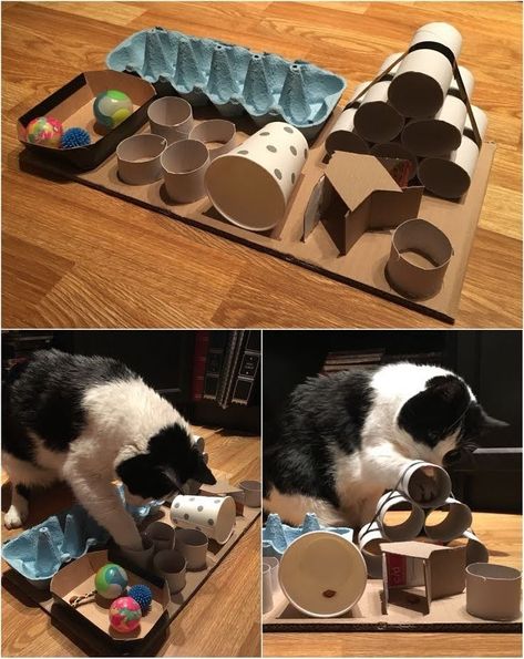 Katt Diy, Katt Grejer, Kat Diy, Chat Diy, Homemade Cat Toys, Cat House Diy, Diy Cat Toys, Cats Diy Projects, Diy Puzzles