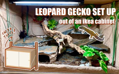 20 gallon Leopard gecko vivarium made out of Ikea cabinet Leopard Gecko Vivarium, Leopard Gecko Vivarium Ideas, Ikea Vivarium Hack, Diy Leopard Gecko Enclosure, Simple Leopard Gecko Setup, Day Gecko Vivarium, Diy Gecko Hide, Ikea Cabinet Reptile Cage, 40 Gallon Leopard Gecko Tank