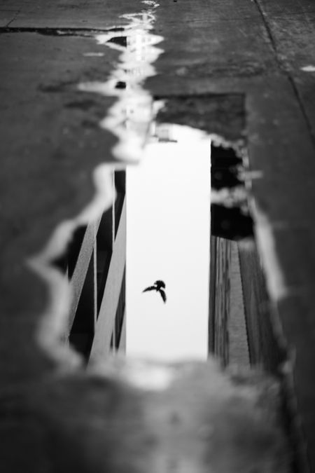 Glimpse Photo by Scott Russell -- National Geographic Your Shot Reflection Photography, Shadow Photography, Bw Photography, Shot Photo, The Reflection, Minimalist Photography, Foto Art, Black White Photos, Abstract Photography