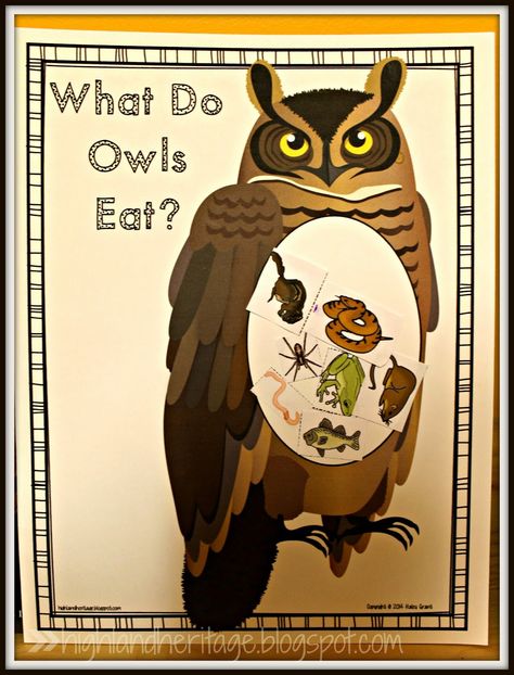 What Do Owls Eat?  FREE cut-and-paste activity in both color and b&w Fall Animal Crafts, Owl Pellets Activities, Owl Literacy Activities, Owl Moon Activities First Grade, Owls Kindergarten, Owl Writing Activities, Owl Lesson Plans, Nocturnal Animals Activities, Kindergarten Halloween Crafts