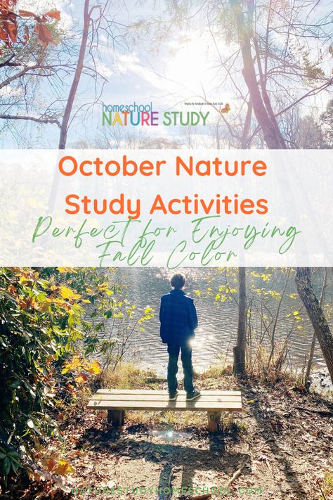 October Nature Study Activities For Children Of All Ages - Homeschool Nature Study Fall Leaves Activities, Fall Homeschool, Bats For Kids, Homeschool Nature, Study Activities, Homeschool Nature Study, Nature Studies, Tree Study, Nature School