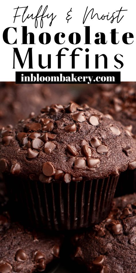 This is the best chocolate muffin recipe! These double chocolate muffins are super moist, packed full of chocolate chips, and are extra easy to make. Best Double Chocolate Muffins, Sams Chocolate Muffins, Double Chocolate Muffins Easy, Double Choc Chip Muffins, Moist Double Chocolate Chip Muffins, Jumbo Double Chocolate Muffins, Super Moist Chocolate Muffins, Super Moist Muffin Recipes, Choc Muffins Recipe