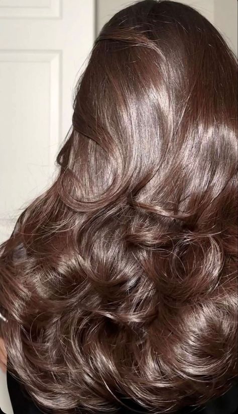 Hazelnut Brown Hair, Hair Silky, Blowout Hair, Pretty Hair, Hair Inspo Color, Fall Hair Colors, Silky Hair, Shiny Hair, Smooth Hair