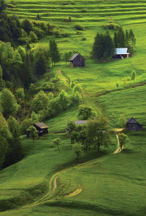 Green Hills / Landscapes / Postcards / Postallove - postcards made with love Polish Girl, Visit Poland, Poland Travel, Foto Art, Green Landscape, Alam Yang Indah, Amazing Nature, Wonderful Places, Beautiful World