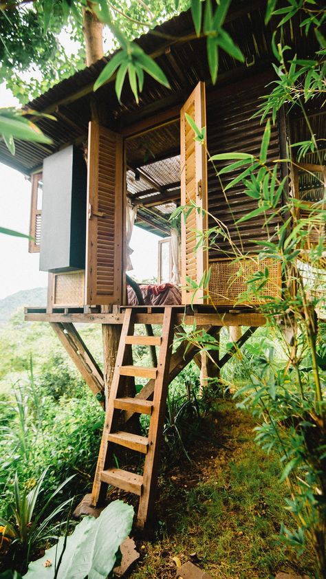 birdhills_bali on Instagram: How to make treehouse? Bamboo Treehouse, Tiny Eco House, Rustic Treehouse, Treehouse Inspiration, Organic Building, Farm Cabin, Bungalow Cottage, Off Grid House, Prefab Houses