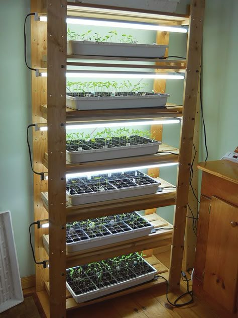 Arbor Diy, Serre Diy, Bbq Garden, Indoor Vegetables, Lots Of Plants, Hydroponic Farming, Indoor Greenhouse, Vegetable Garden Diy, Starting Seeds Indoors