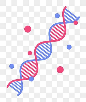 spiral,dna,spiral dna,biological,flat dna,dna molecule,flat,dna clipart,blue clipart,red clipart,spiral clipart,flat clipart Dna Clipart, Dna Spiral, Dna Transcription, Dna Drawing, Recombinant Dna, Research Logo, Brand Activation Ideas, Dna Structure, Red Clipart