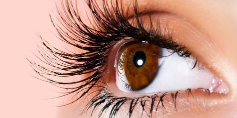 Why Clear Mascara Is the Unsung Hero of Any Makeup Routine Concealer For Dark Skin, Castor Oil Eyelashes, Using Concealer, Colored Mascara, Concealer Pencil, Brown Hairstyles, Clear Mascara, Bold Eye Makeup, Makeup Order