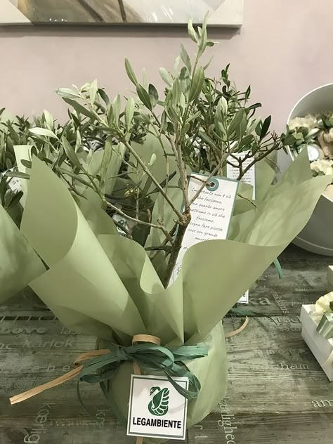 Plant Wrapping Ideas, How To Wrap A Plant As A Gift, Plant Packaging, Spices Packaging, نباتات منزلية, Gift Wrapping Inspiration, Planter Gift, Plant Gift, Creative Gift Wrapping