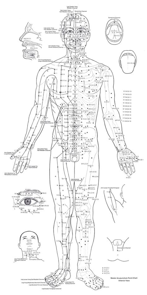 Acupuncture Charts, Punkty Spustowe, Traditional Chinese Medicine Acupuncture, Acupuncture Points Chart, Meridian Energy, Shiatsu Massage Acupressure, Acupuncture Benefits, Point Acupuncture, Reflexology Chart