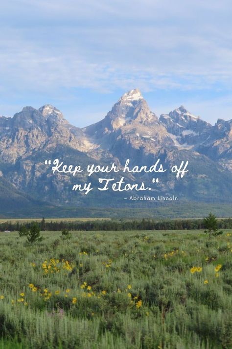 Grand Tetons Jackson Hole Wyoming Cowboys Bar, Humor Quote, The Old West, Jackson Hole Wyoming, Old Faithful, Out West, Welcome To The Party, Jackson Hole, Yellowstone National