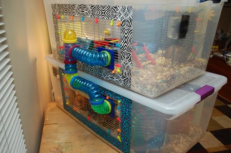 diy hamster cage, also there's video of hamster's reaction to the bew cage :) Hampster Cage, Diy Hamster Cage, Kandang Hamster, Bin Cage, Hamster Bin Cage, Hamster Diy Cage, Gerbil Cages, Diy Guinea Pig Cage, Mouse Cage