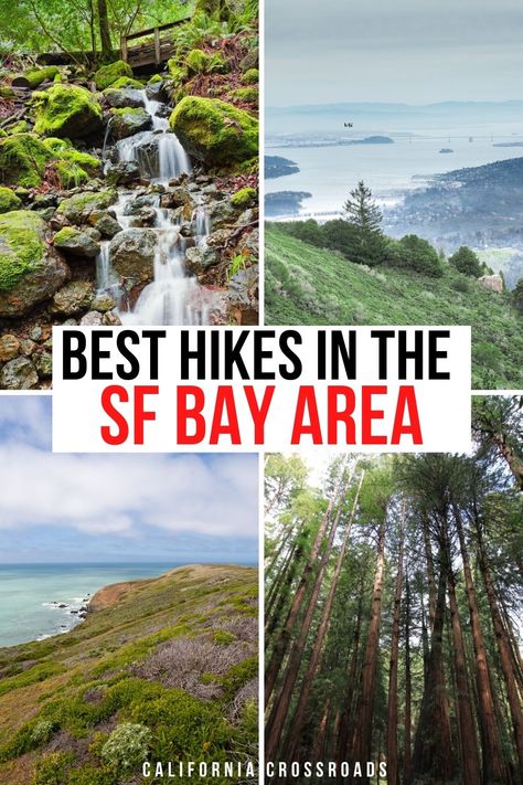 The 12 Best Bay Area Hikes Near San Francisco - California Crossroads San Francisco Hikes, Bay Area Hikes, Good Views, Mt Tamalpais, San Francisco Travel Guide, Muir Beach, Vacation 2024, Visit San Francisco, Alcatraz Island