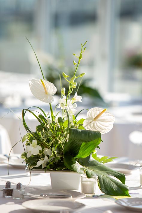 Tropical centerpiece w/ #whiteanthurium #dendrobiumorchids #monstera #tileaf Monstera Plant Centerpiece, White Anthurium Wedding, Anthurium Centerpiece, Orchid Wedding Decor, Tropical Vases, White Orchids Wedding, Orchids Wedding, Bud Vase Centerpiece, Plant Centerpieces