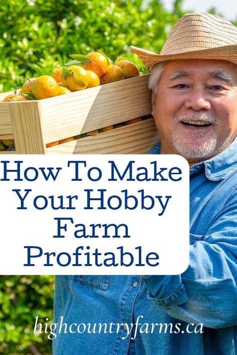 How to Make a Hobby Farm Profitable: Simple Strategies for Success - High Country Farms Farm Work, Drip System, Farm Business, Farm Lifestyle, Hobby Farm, Soil Testing, Health Trends, Managing Finances, Sustainable Farming