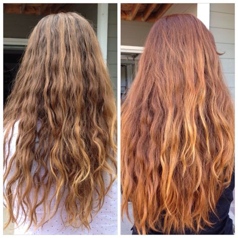 Lush henna for hair, Rouge. Before and after. Brown Hair To Ginger Before And After, Light Brown To Red Hair Before And After, Brown Hair Turned Red, Henna Strawberry Blonde, Auburn Henna Hair, Henna Hair Dye Red, Lush Henna Hair Dye, Henna Hair Color, Blonde Hair With Bangs