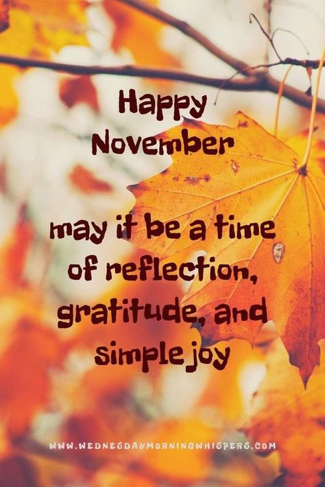 Good Morning Fall, Happy New Month Quotes, New Month Quotes, Welcome November, November Quotes, Fall Pics, Month Of November, Happy New Month, Happy November