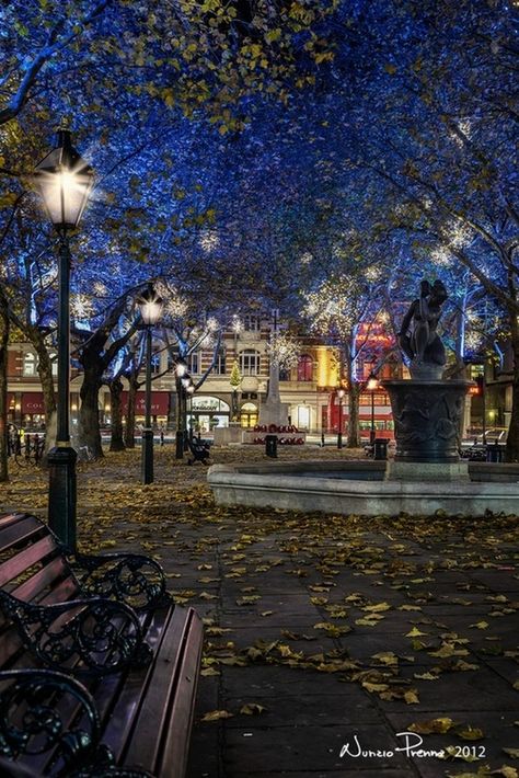 ~ Sloane Ranger, Blue Stuff, Sloane Square, London Christmas, Royal Court, Town Square, England And Scotland, London Town, London Calling