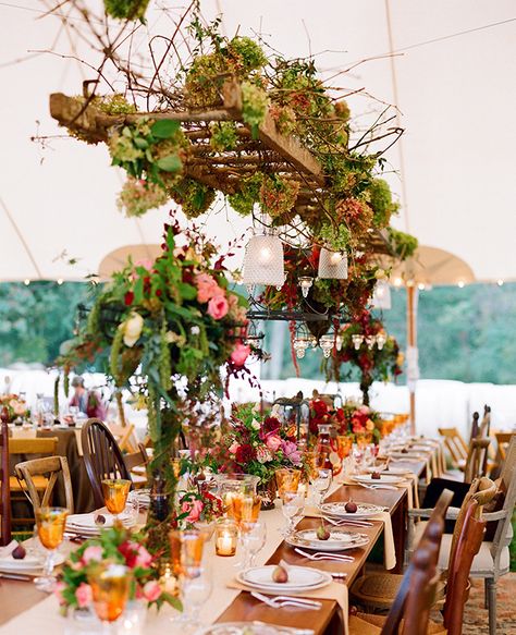 Hydrangea, vines & tea lights hung from a rustic ladder... hanging reception flowers | Jen Fariello Photography | blog.theknot.com Hanging Ladder, Rustic Ladder, Wedding Reception Photography, Rustic Fall Wedding, Reception Flowers, Ceremony Flowers, Hanging Flowers, Wedding Styling, Table Ideas