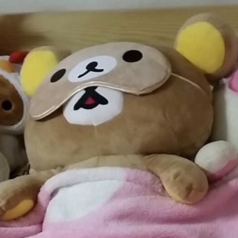 Rilakkuma, Matching Pfps, Matching Pfp, Stuffed Animals, Teddy Bear, Animals, Pink