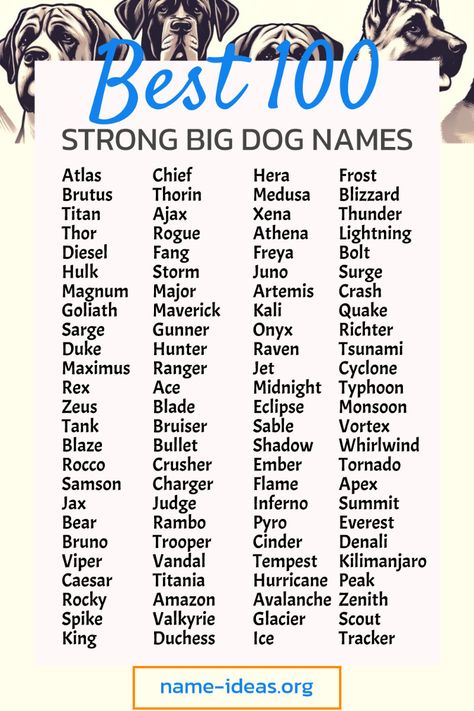 Looking for the perfect name for your strong and powerful big dog? Our list of 100 robust and commanding dog names has you covered. From mythological titans and legendary warriors to fierce natural forces and majestic peaks, these names are sure to reflect your dog's strength and presence. Whether you're naming a loyal protector, a fearless adventurer, or a gentle giant, you'll find the ideal name that resonates with their powerful personality. Dive into our collection and discover a name that truly captures the essence of your mighty companion! 🐾💪 Scary Dog Names, Male Dog Names Unique, Big Dog Names, Powerful Personality, Massive Dogs, Dog Names Unique, Big Puppy, Protective Dogs, Powerful Names