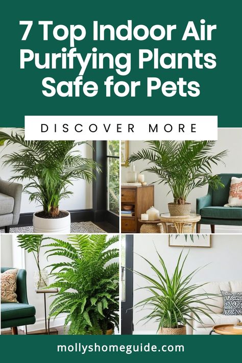 Looking to add some greenery to your home while keeping your pets safe? Check out these best indoor plants that are air purifiers and pet-friendly. These non-toxic houseplants are safe for dogs, cats, and kids. Create a healthier indoor environment with these pet-safe plants that help clean the air. Must-have indoor plants for any household looking to purify the air without compromising on the safety of pets and children. Cat Friendly Plants Indoor, Best Indoor Plants Air Purifier, Safe Plants For Cats, Plants Safe For Pets, House Plants Indoor Air Purifying, Cat Safe House Plants, Dog Safe Plants, Safe House Plants, Cat Friendly Plants