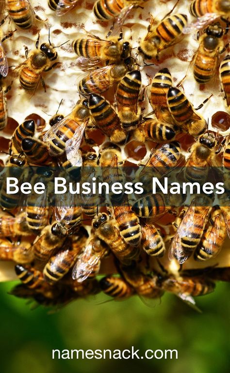 Bee Business, Honey Business Ideas, Honey Names Ideas, Honey Name, Bee Hive Logo Design, Bumble Bee Name Tags, Honey Bee Infographic, Bakery Names, Honey Drink