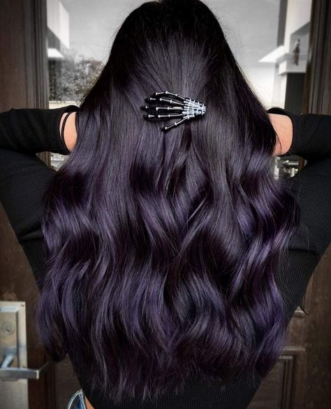 Violet Black Hair, Dark Violet Hair, Purple Black Hair, Violet Hair Colors, Purple Hair Highlights, Guy Pics, Dark Fall Hair, Dark Purple Hair, Black Hair Balayage