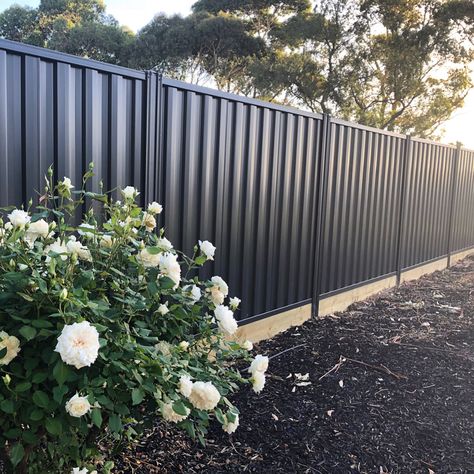 Monument Colourbond Fence, Colourbond Fences, Sliding Fence Gate, Colorbond Fence, Boundary Fence, Craftsman Bungalow Exterior, Yard Crashers, Driveway Entrance Landscaping, Wood Fence Design