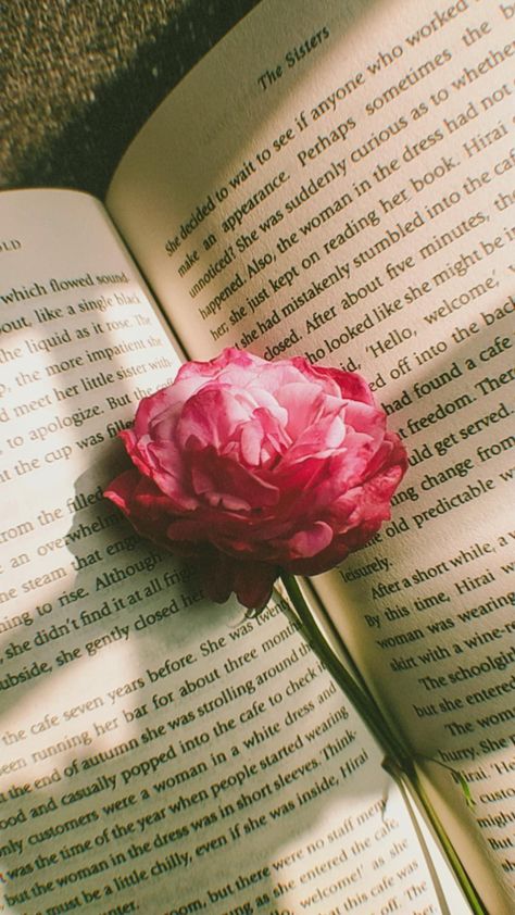 #reading #flower #aesthetic #retro Aesthetic Reading, Sunset Quotes Instagram, Aesthetic Rose, Roses Book, Sisters Photoshoot, Reading Aesthetic, Aesthetic Roses, Rosé Aesthetic, Aesthetic Retro