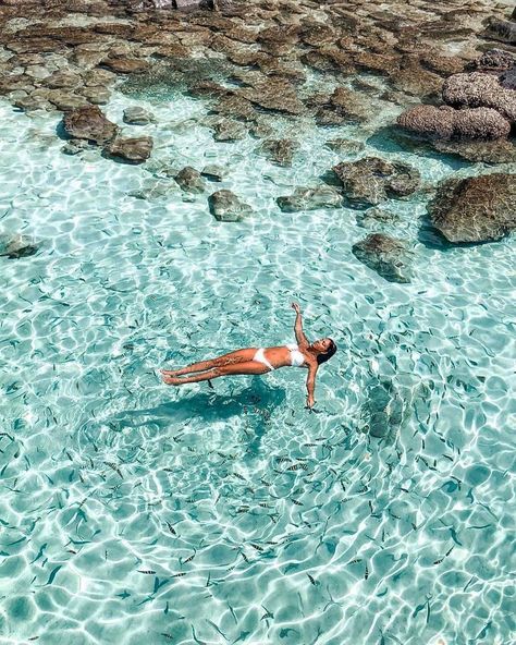 Tourism Malaysia on Instagram: “Perhentian Island, Malaysia . Can’t believe I was surrounded by fish, right at the shore 🐠  This is the beauty of the Perhentian Islands.…” Perhentian Island, Malaysia Travel, Ture Love, Travel Agent, Taking Pictures, Beautiful Destinations, Pool Float, Travel Blog, The Beauty