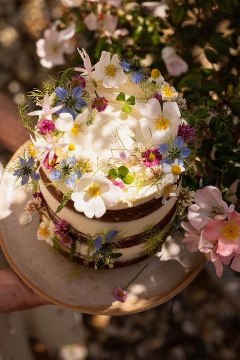 Lemon & Fennel Midsommar Cake — GourmetGlow Fennel Cake, Midsommar Cake, Midsummer Cake, Cake Food Photography, Whimsical Cakes, Recipe For Family, Whimsical Cake, Edible Flowers Cake, 21st Cake