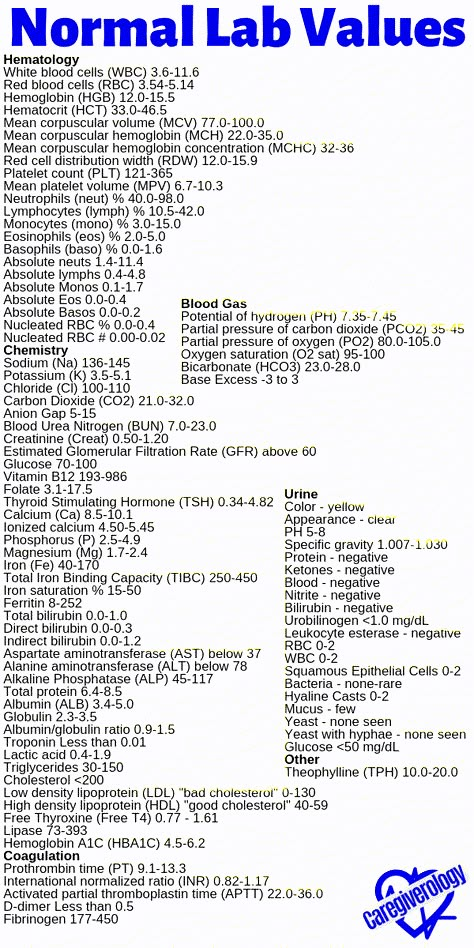 Lab Results Cheat Sheet, Normal Labs Values, Normal Lab Values Nursing Cheat Sheets, Medical Lab Assistant, Lab Test Medical, Normal Values Nursing, Lab Tubes Cheat Sheet, Normal Lab Values, Work Values