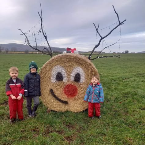 Santa Hay Bale, Hay Christmas Decor, Haybale Decorating Christmas, Haybale Christmas Decorations, Reindeer Hay Bale, Christmas Bales Hay, Christmas Decor With Hay Bales, Round Bales Of Hay Decor, Haybale Christmas Ideas