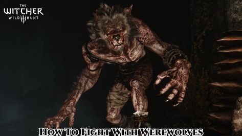 Witcher Werewolf, Witcher 3 Wild Hunt, Open World, Witcher 3, Big Bad Wolf, Wild Hunt, Classic Monsters, The Witcher 3, Bad Wolf