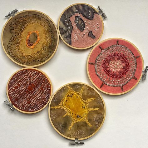 Linocut Inspiration, Nature Embroidery, A Level Textiles, Anatomy Sculpture, Petri Dishes, Biology Art, Embroidery Hoop Wall Art, Textiles Artwork, Bio Art