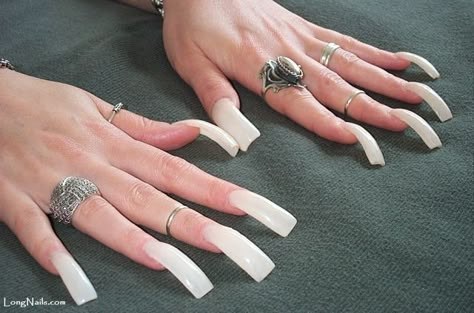 Long, curved and unpolished acrylic nails. Flare Acrylic Nails, Long Red Nails, Curved Nails, Long Acrylic Nail Designs, Duck Nails, White Acrylic Nails, Long Square Acrylic Nails, Pink Acrylic Nails, Square Acrylic Nails