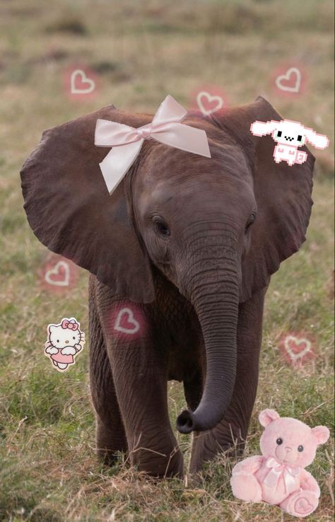 Elephant Asthetic Picture, Elephants Aesthetic, Aesthetic Elephant, Elephant Aesthetic, Cute Elephant Pictures, Elephant Spirit Animal, Elephants Cute, Nice Dp, Adorable Elephants