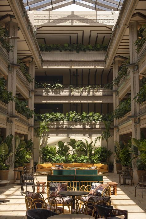 Mayfair House, Atrium Design, Mayfair Hotel, Hotel Garden, Rich Decor, Guest Room Design, Exterior Stairs, Coconut Grove, Swimming Pool Spa