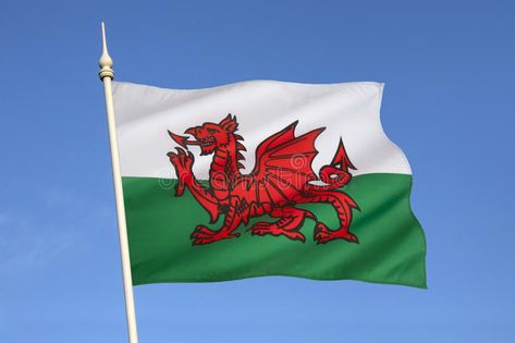 Flag of Wales - United Kingdom. The flag of Wales in the United Kingdom. The fla , #Sponsored, #Kingdom, #flag, #incorporates, #Flag, #Wales #ad Flag Of Wales, Dragon Kingdom, Wales Flag, Welsh Flag, Dragon Images, Design Illustrations, Red Dragon, British Isles, The Flag