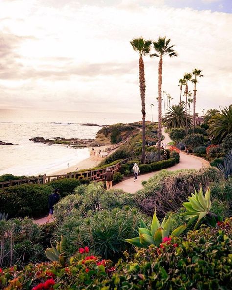 Secret Los Angeles on Instagram: “The breathtaking views at Montage Laguna Beach🌴 #mysecretla 📷: @picture_perfect1227” Los Angeles Vacation, Montage Laguna Beach, Visit Los Angeles, Beach Model, Los Angeles City, Visual Board, Visit California, Laguna Beach, Beach Scenes