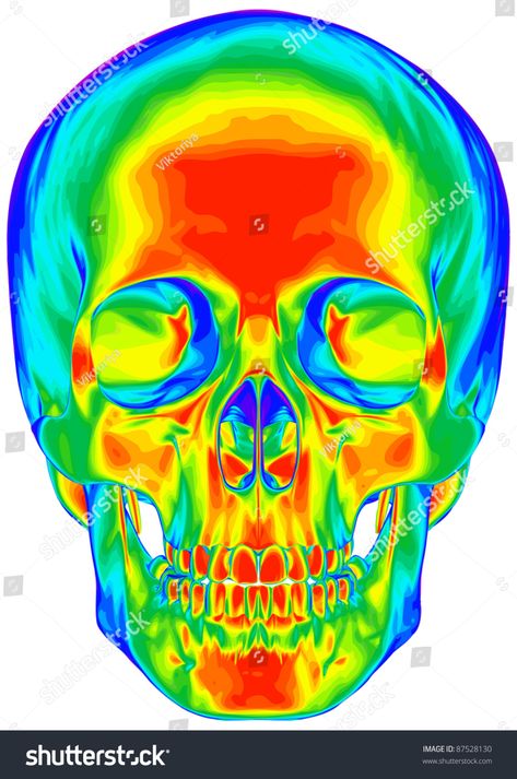 Thermal Image Human Skull Isolated On Stock Illustration 87528130 Thermal Image, Psychadelic Art, Human Skull, A Skull, Art Collage Wall, Trippy Art, Skull Art, Art Drawings Sketches, Art Reference Photos