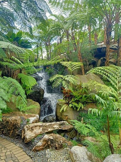 Fern Landscaping Ideas: 7 Eye-catching Ways to Showcase Ferns in the Garden Fern Landscaping, Garden Design Simple, Diy Ponds Backyard, Kolam Koi, Ferns Garden, Garden Pond Design, Zen Garden Design, Tropical Garden Design, Planting Tips