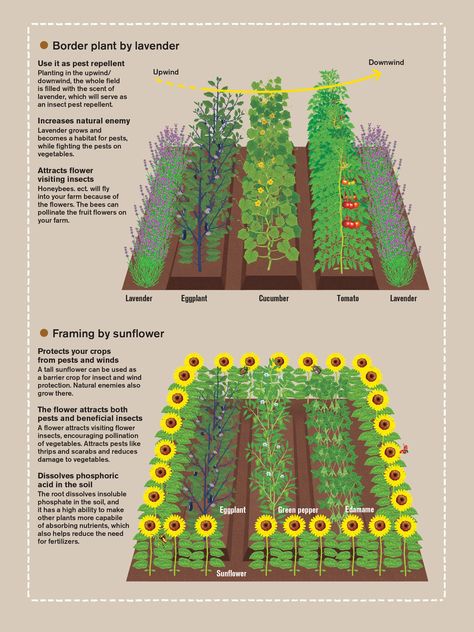 Container Pool, Taman Air, Vegetable Garden Planning, Homestead Gardens, Backyard Vegetable Gardens, Veg Garden, Backyard Farming, Home Vegetable Garden, Vegetable Garden Design