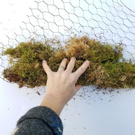 How to Use Moss as a Foam-Free Floral Mechanic Flower Mechanics, Floral Mechanics, Dry Floral Foam, Moss Wedding, Wedding Arbors, Sustainable Flowers, Plaster Crafts, Diy Arrangements, Flower Installation