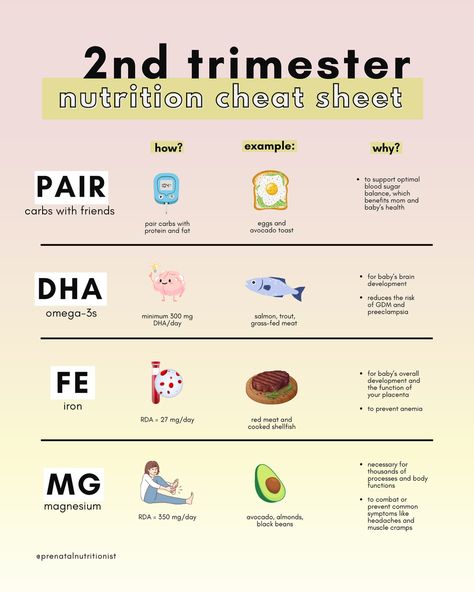 Ryann Kipping, MPH, RDN | Which trimester are you in?? 🤰🏼 The foods you eat supply nutrients that play specific and important roles in your baby’s development!... | Instagram 1st Trimester Pregnancy Food, Trimester Chart, First Trimester Food, Meat For Babies, 1st Trimester Pregnancy, Pregnancy Prep, Grass Fed Meat, Food Chart, 1st Trimester