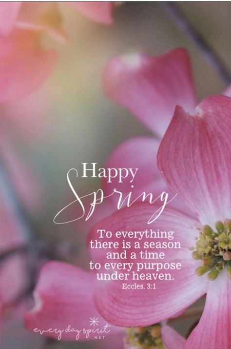 First Day Of Spring Quotes, Hello Spring Quotes, Spring Bible Verses, Springtime Quotes, Black Love Quotes, Season Quotes, Spring Quotes, Love Anniversary Quotes, Gods Glory