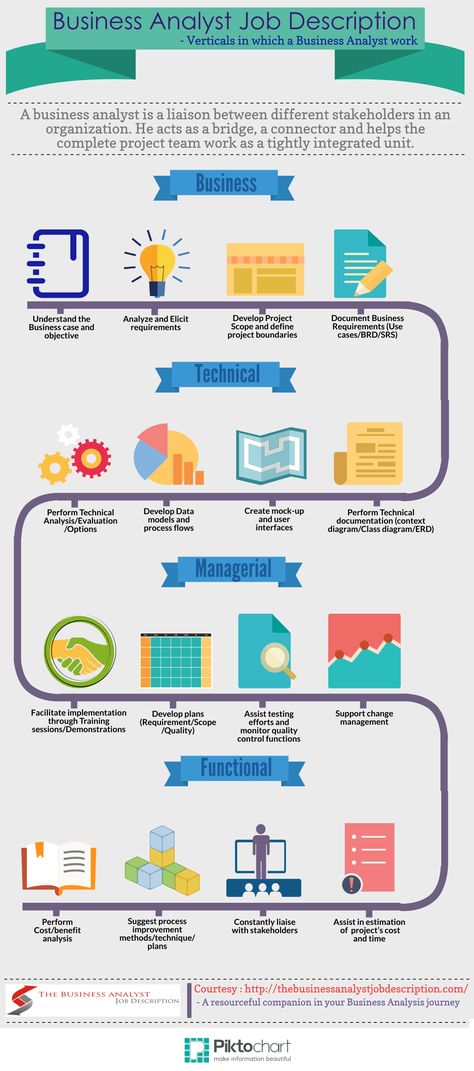 An info-graphic detailing the 'Business Analyst Job Description' Business Analyst Career, Wharton Business School, Business Management Degree, Business Jobs, Harvard Business School, Business Analysis, Data Analyst, Business Requirements, Business Case