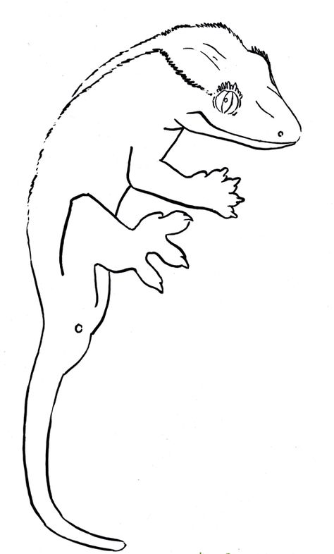 Crested Gecko Drawing, Gecko Drawing, Lizard Craft, Gecko Art, Brave Disney, Reptile Art, Coloring Pages Ideas, Crested Geckos, Cute Gecko