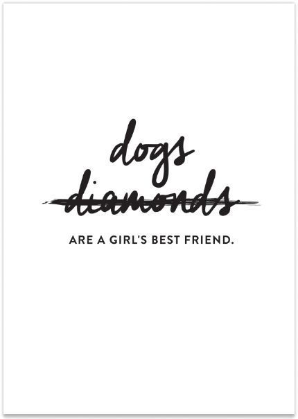 Doglover Lou Dog, Dogs Quotes, Dog German, Crazy Dog Lady, Dog Lady, Humor Memes, Crazy Dog, E Card, Animal Quotes